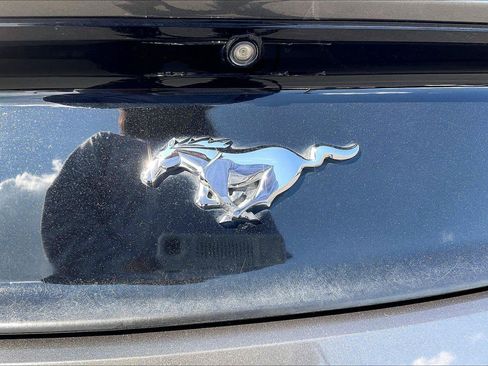 Used 2016 Ford Mustang Premium w/ Equipment Group 201A RWD image 9