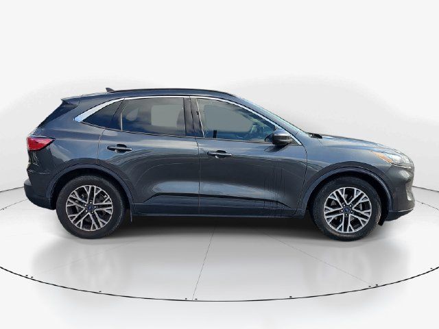 Used 2020 Ford Escape SEL FWD image 2