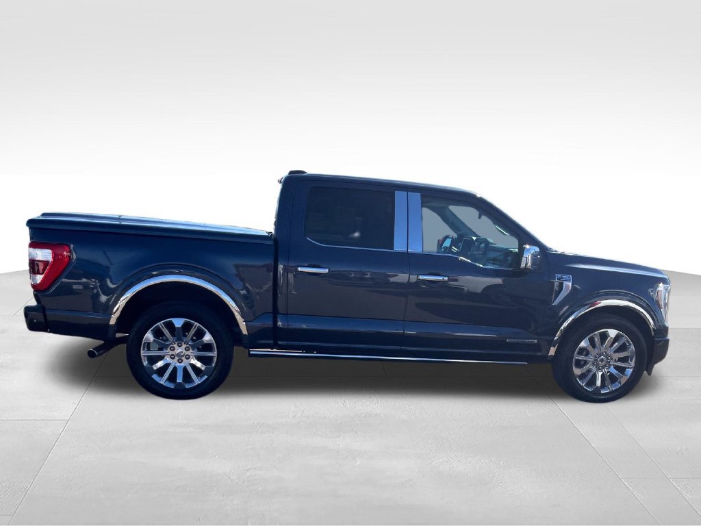 Used 2022 Ford F150 Limited RWD image 6
