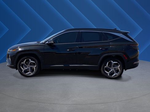 Used 2024 Hyundai Tucson Limited AWD/4WD image 6