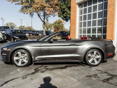 Used 2019 Ford Mustang Premium w/ Equipment Group 201A image 33