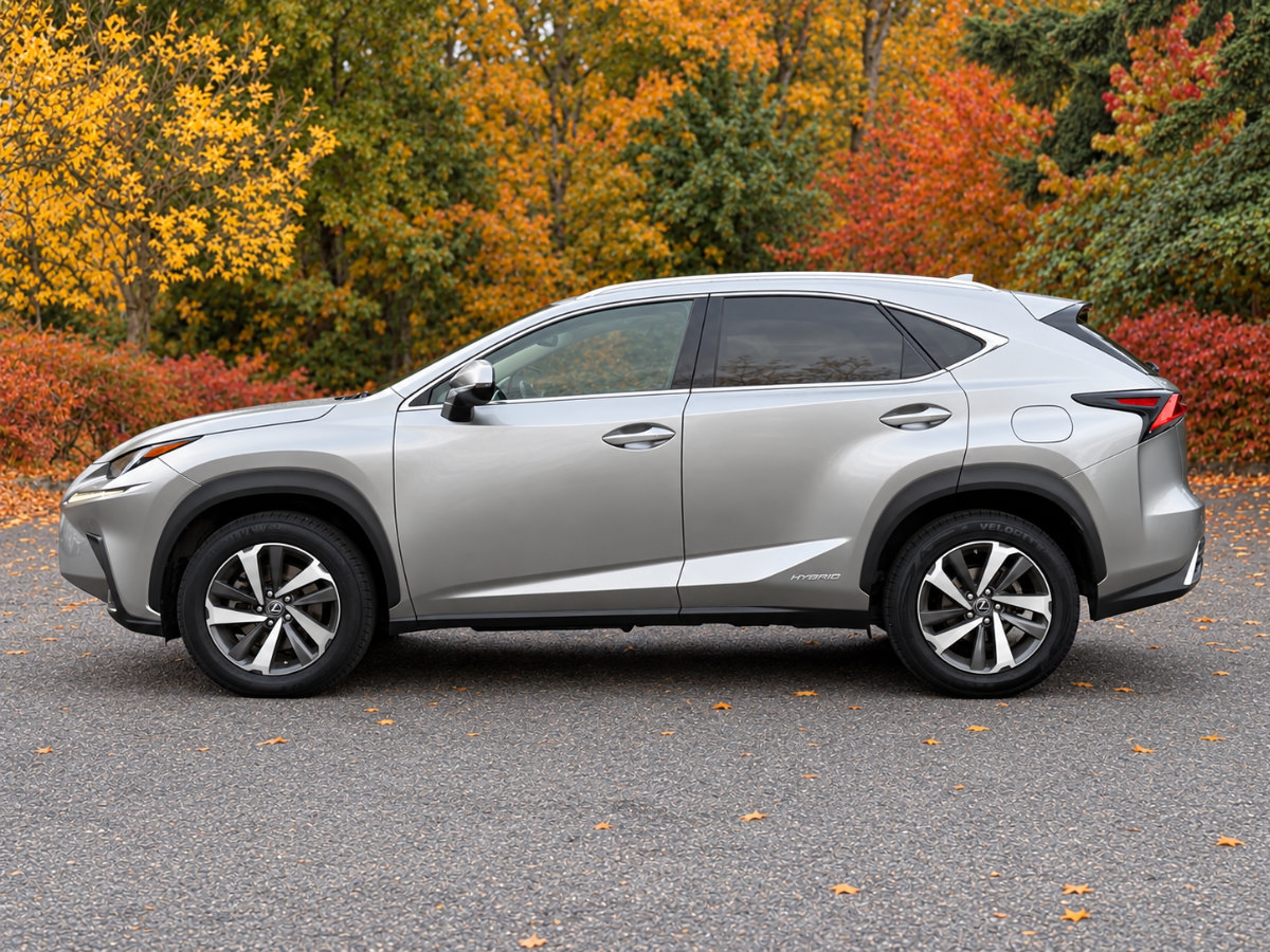 Used 2019 Lexus NX 300h AWD w/ Premium Package image 7