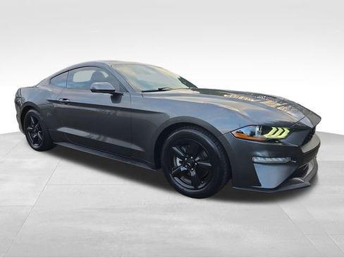Used 2019 Ford Mustang Coupe image 1