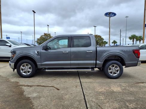 Used 2025 Ford F150 XLT w/ Equipment Group 301A Standard AWD/4WD image 3