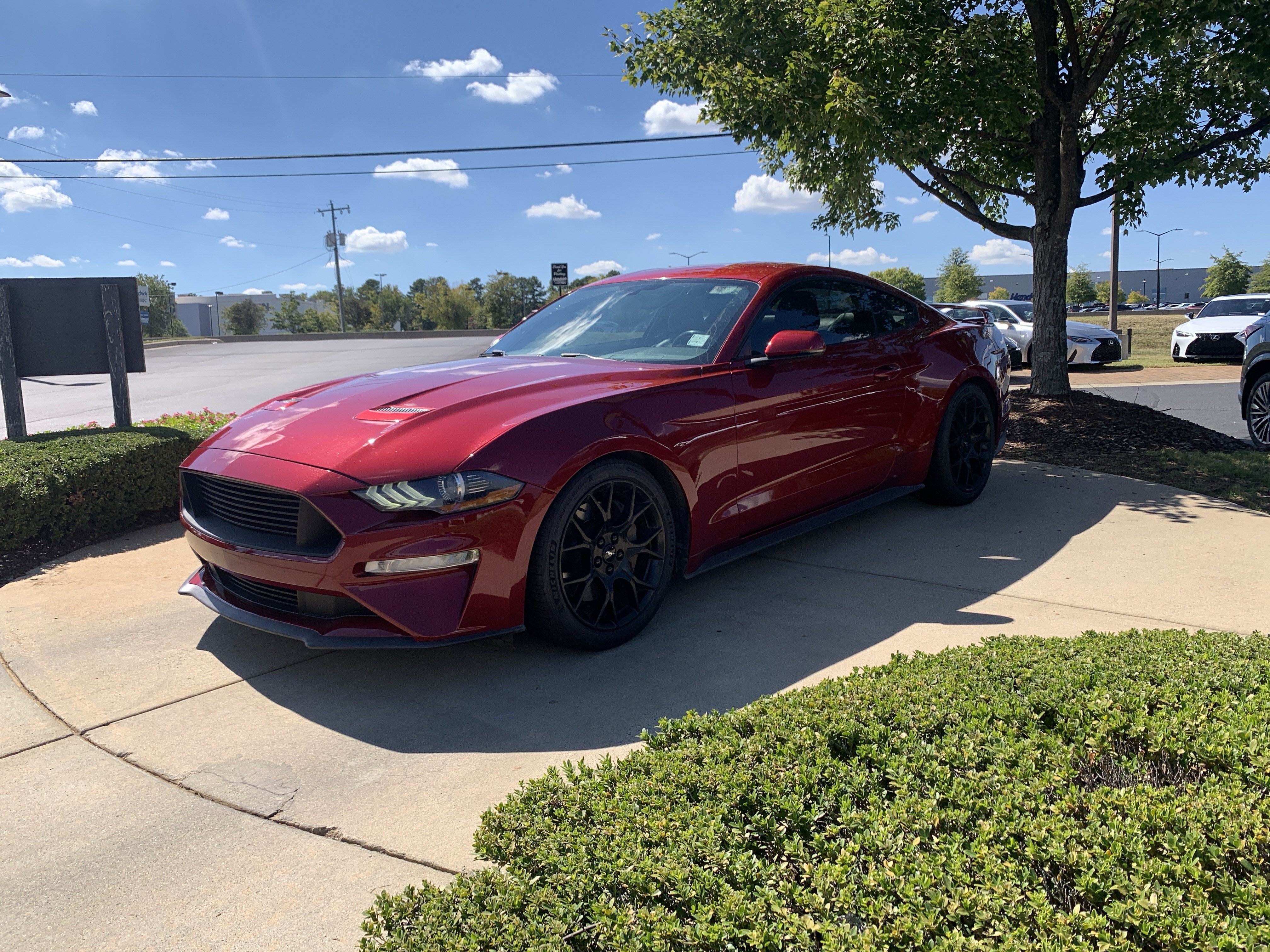 Used 2019 Ford Mustang Premium w/ Ecoboost Performance Package RWD image 5