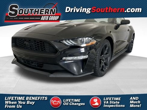 Used 2019 Ford Mustang Coupe w/ Equipment Group 101A image 1