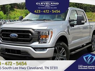 Used 2025 Ford F150 XLT w/ Equipment Group 301A Standard video 1
