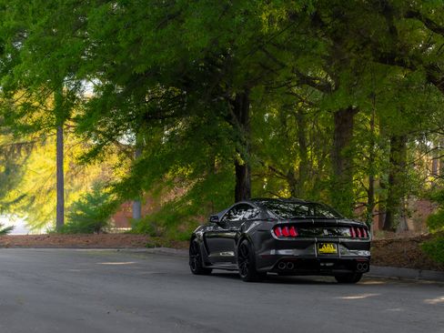 Used 2016 Ford Mustang Shelby GT350 w/ Technology Package image 37