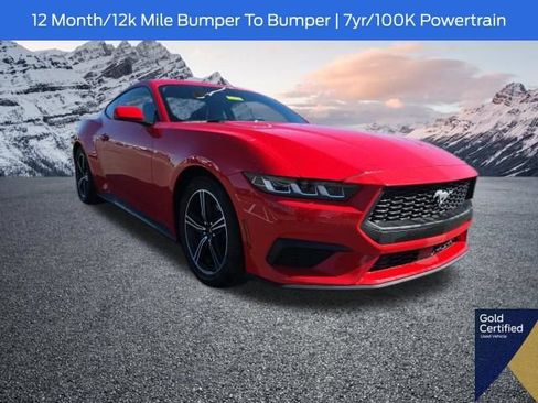 Used 2024 Ford Mustang Premium RWD image 1