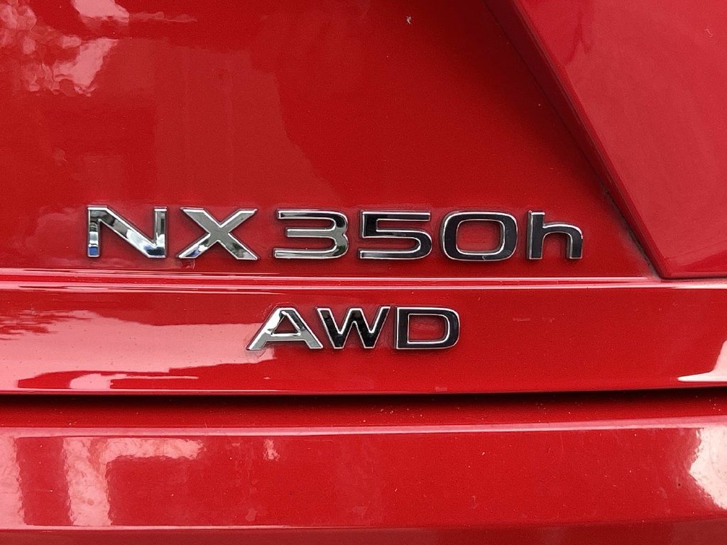 Used 2025 Lexus NX 350h AWD w/ Cold Area Package image 10