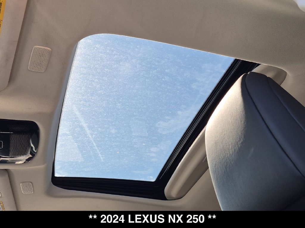 Used 2024 Lexus NX 250 AWD w/ Cold Area Package image 4