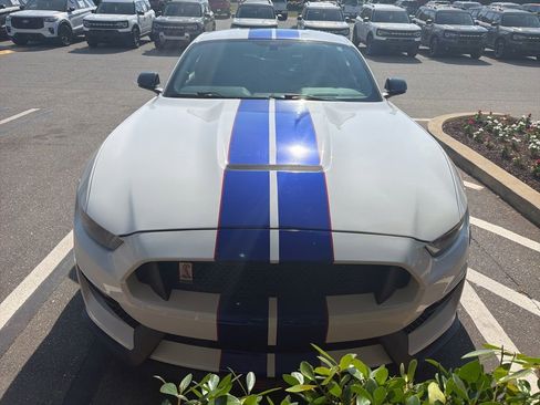 Used 2016 Ford Mustang Shelby GT350 RWD image 2
