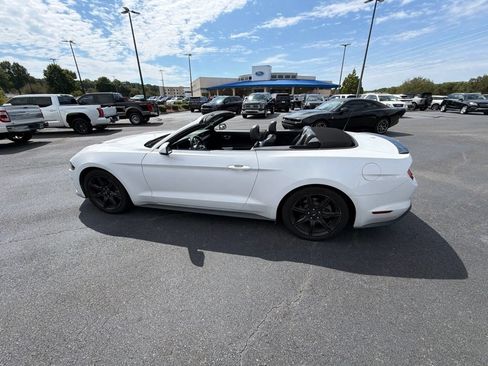 Used 2019 Ford Mustang Premium w/ Equipment Group 201A RWD image 16