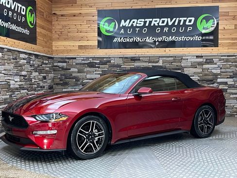 Used 2019 Ford Mustang Convertible w/ Equipment Group 101A RWD image 8