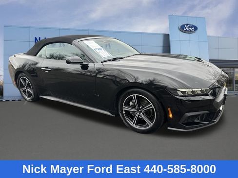 Used 2025 Ford Mustang Premium image 7