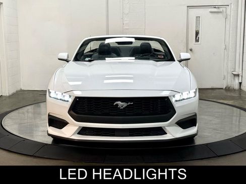 Used 2024 Ford Mustang Premium RWD image 3