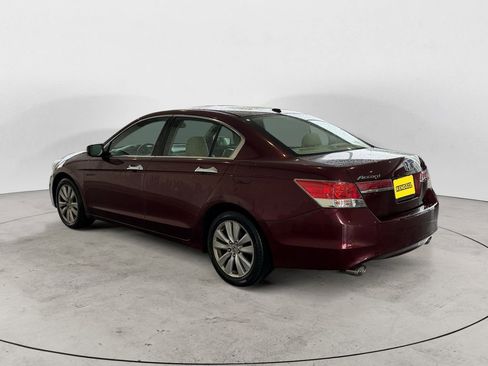 Used 2011 Honda Accord EX-L image 3