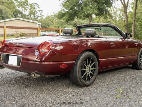 Used 2002 Ford Thunderbird RWD image 6