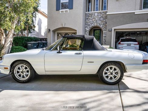 Used 1989 Alfa Romeo Spider Graduate image 15