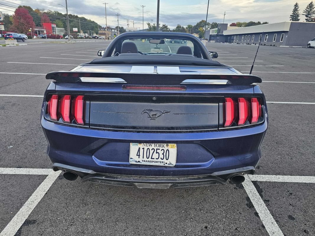 Used 2019 Ford Mustang Convertible w/ Black Accent Package RWD image 7