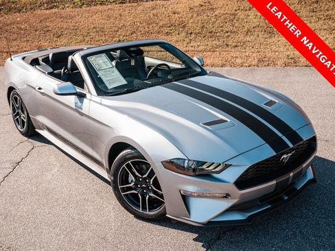 Used 2023 Ford Mustang Premium w/ Equipment Group 201A image 2