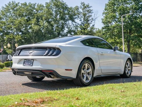 Used 2022 Ford Mustang Coupe RWD image 5