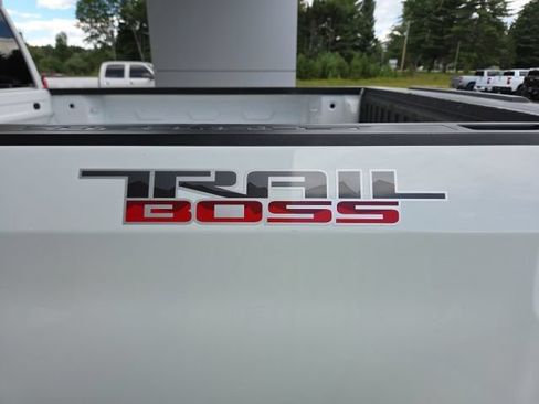 Used 2019 Chevrolet Silverado 1500 Custom Trail Boss w/ Custom Convenience Package AWD/4WD image 45