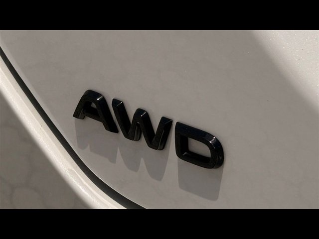 Certified 2025 Honda Pilot TrailSport image 21