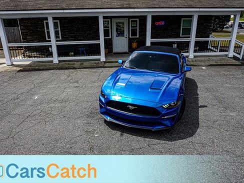 Used 2019 Ford Mustang Premium w/ Equipment Group 201A RWD image 3
