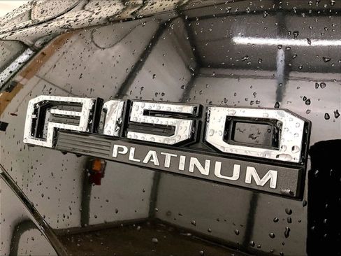Certified 2019 Ford F150 Platinum w/ Equipment Group 701A Luxury AWD/4WD image 13