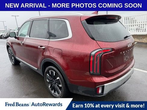 Used 2024 Kia Telluride SX Prestige image 5