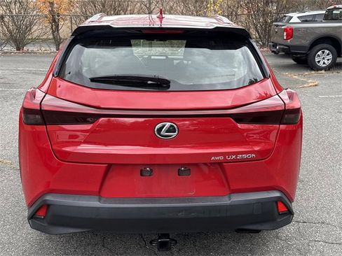 Used 2023 Lexus UX 250h AWD image 5