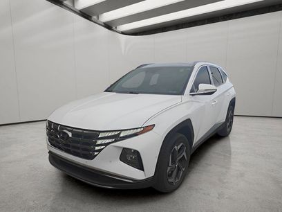 Used 2024 Hyundai Tucson Limited