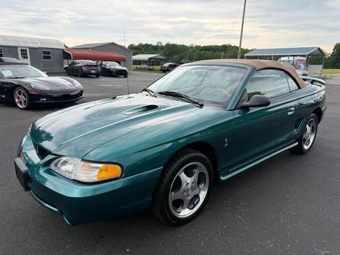 Used 1997 Ford Mustang Cobra RWD image 4