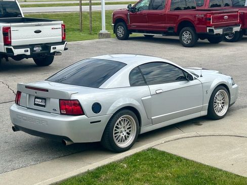 Used 2003 Ford Mustang Cobra RWD image 6