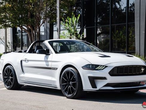 Used 2019 Ford Mustang GT Premium w/ Equipment Group 401A image 5