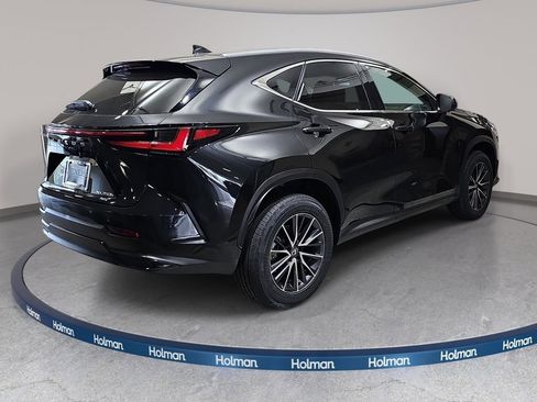 Used 2024 Lexus NX 350h AWD w/ Cold Area Package image 6