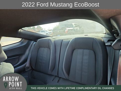 Used 2022 Ford Mustang Coupe w/ Equipment Group 101A image 18