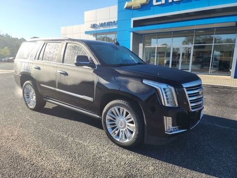 Used 2020 Cadillac Escalade Platinum image 5