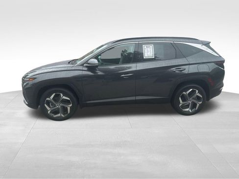 Used 2023 Hyundai Tucson Limited AWD/4WD image 5