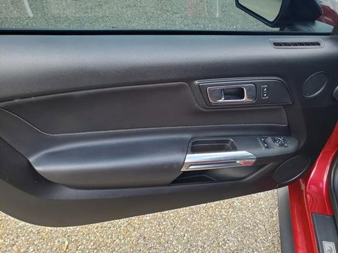 Used 2021 Ford Mustang GT w/ Equipment Group 301A image 12