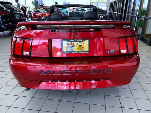 Used 2004 Ford Mustang Convertible RWD image 6