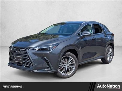Used 2025 Lexus NX 350h AWD w/ Cold Area Package
