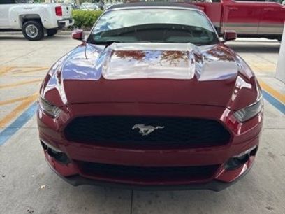 Used 2017 Ford Mustang Premium w/ Equipment Group 201A