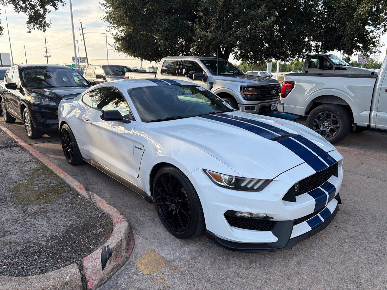 Used 2018 Ford Mustang Shelby GT350 w/ Electronics Package RWD image 3