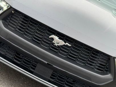 New 2026 Ford Mustang Coupe