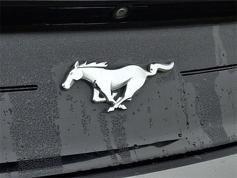 Used 2018 Ford Mustang Premium w/ Ecoboost Performance Package image 30