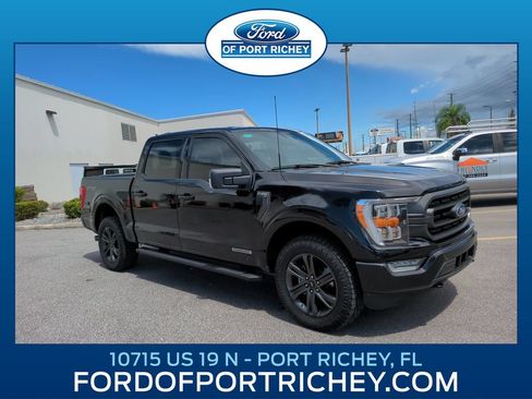 Used 2023 Ford F150 XLT w/ Equipment Group 302A High AWD/4WD image 1