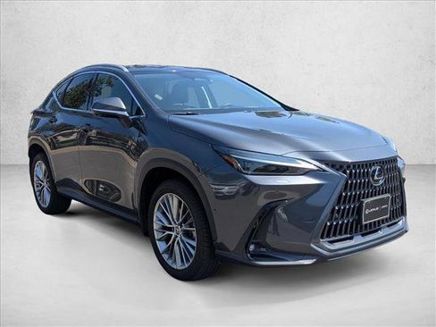 Used 2025 Lexus NX 350h AWD w/ Cold Area Package image 3