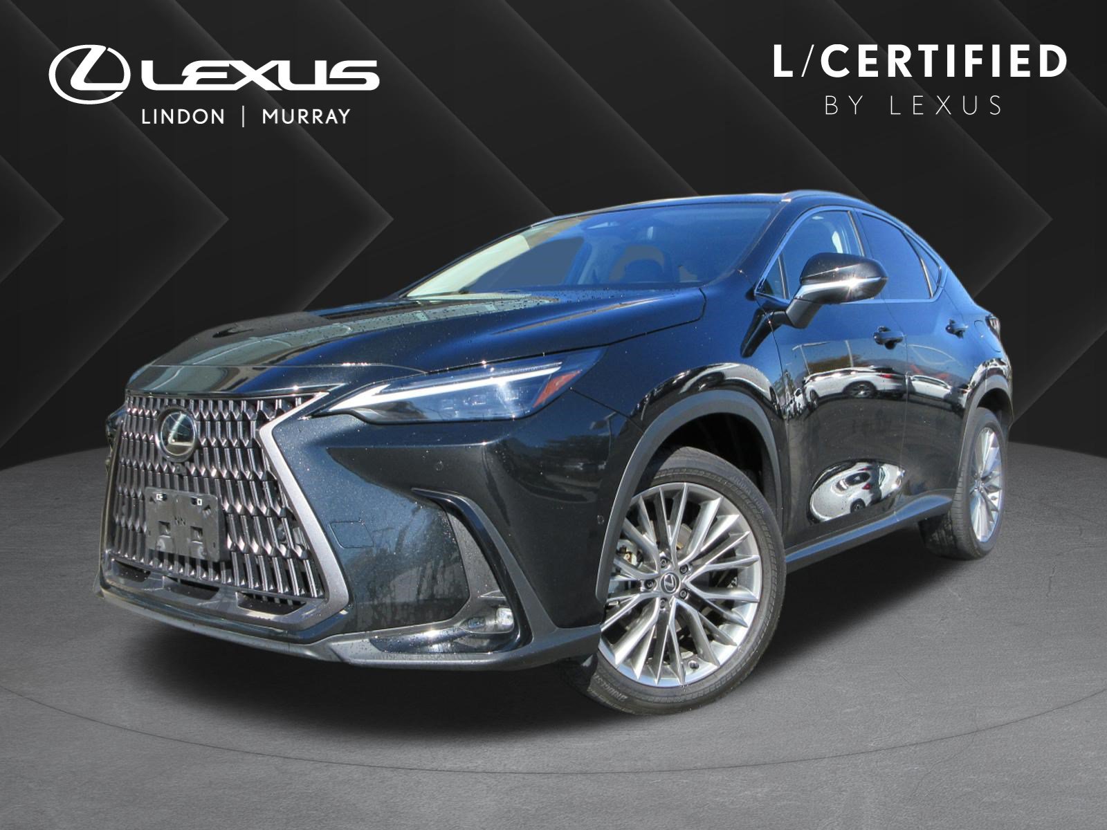 Used 2024 Lexus NX 350h AWD w/ Vision Package image 1